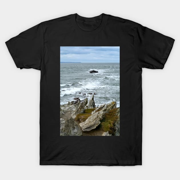 Rocks, Sea And Lundy Island T-Shirt by AlexaZari